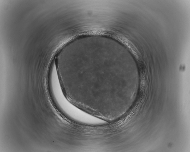 X0000099310677200805161413