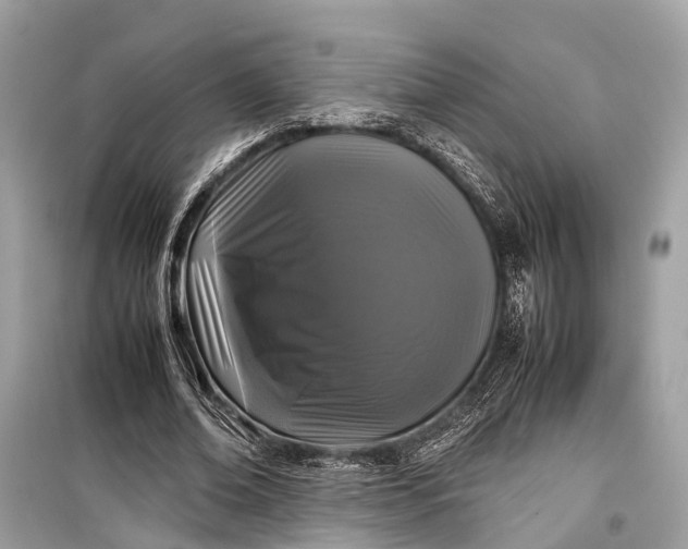 X0000099310678200805161413