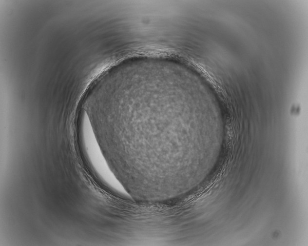 X0000099310679200805161413