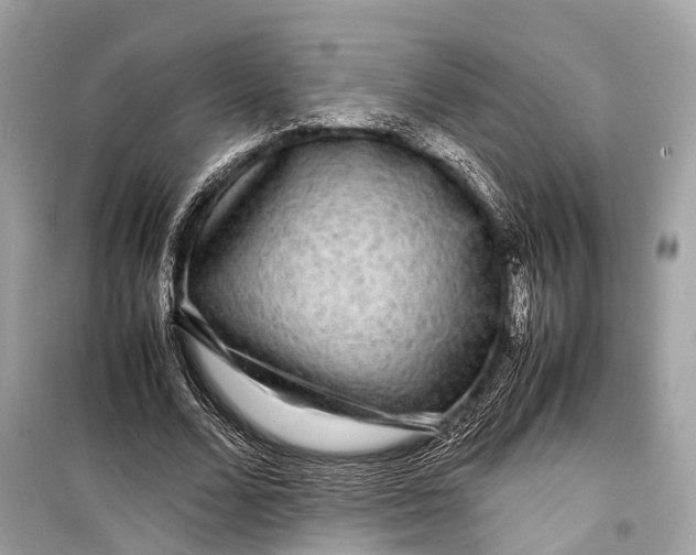 X0000099310680200805161413