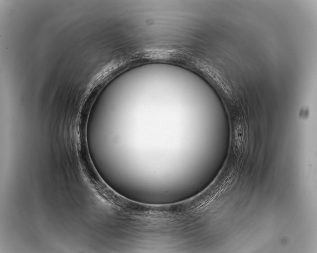 X0000099310682200805161413