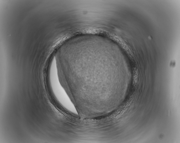 X0000099310683200805161413