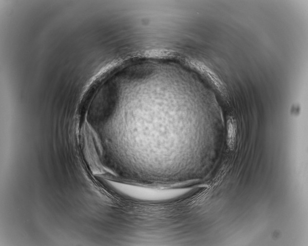 X0000099310684200805161413