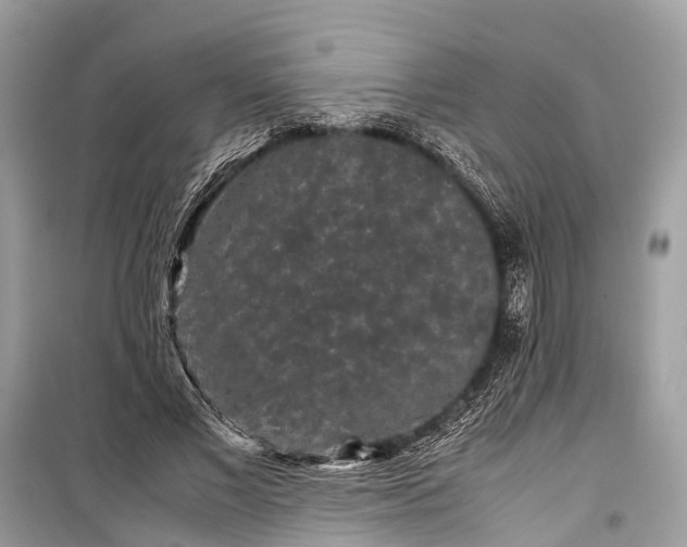 X0000099310685200805161413