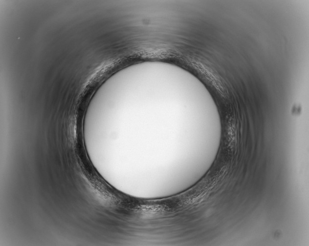 X0000099310686200805161413