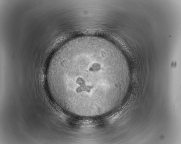 X0000099310687200805161413