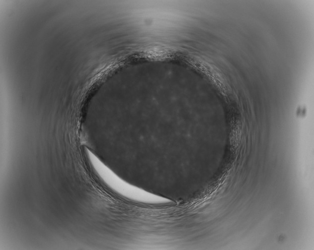 X0000099310689200805161413