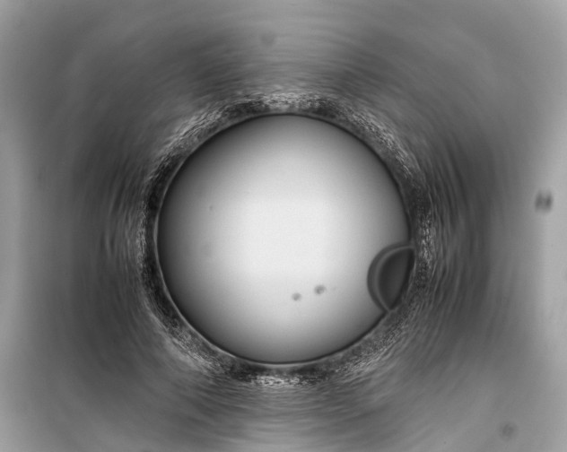 X0000099310690200805161413