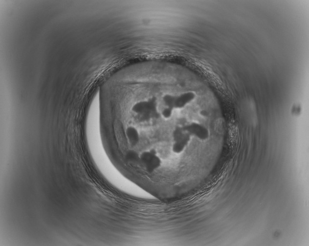 X0000099310691200805161413