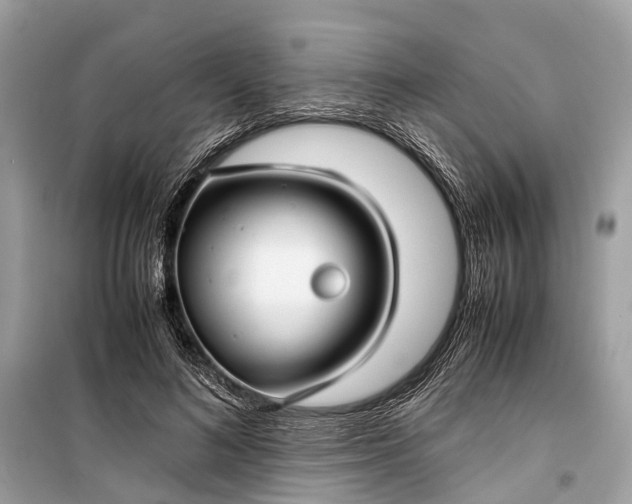 X0000099310692200805161413