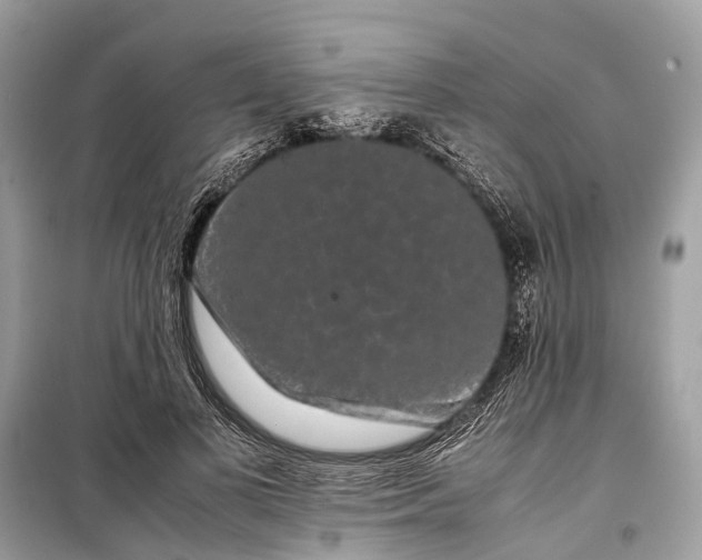 X0000099310693200805161413