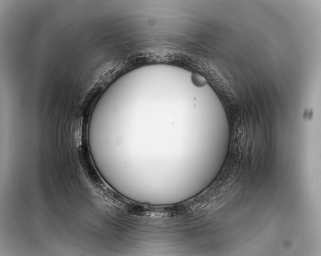 X0000099310694200805161413