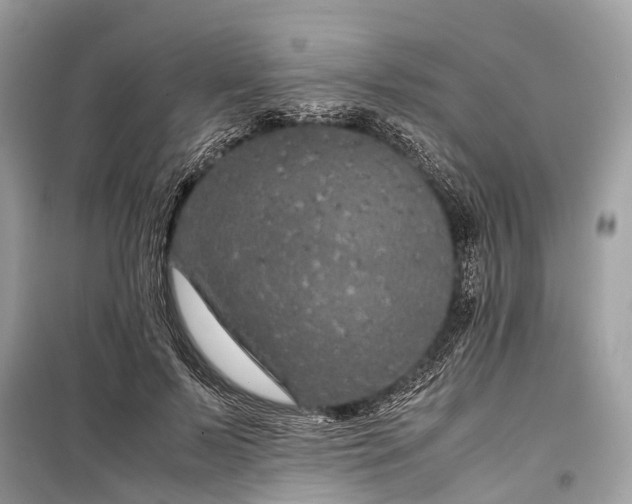 X0000099310695200805161413