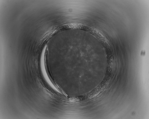 X0000099310696200805161413