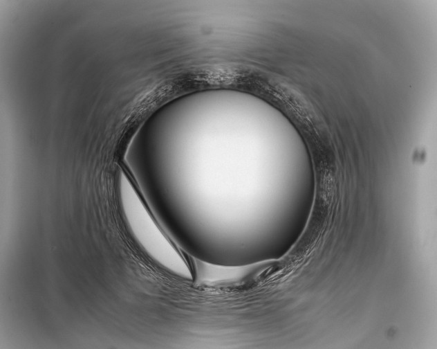 X0000099310697200805161413