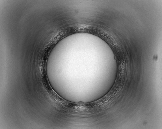 X0000099310698200805161413