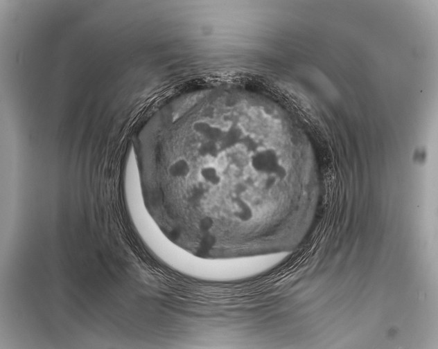 X0000099310699200805161413