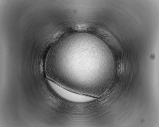 X0000099310700200805161413