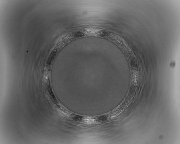 X0000099310701200805161413