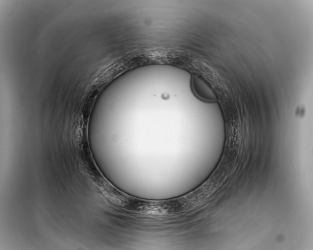 X0000099310702200805161413