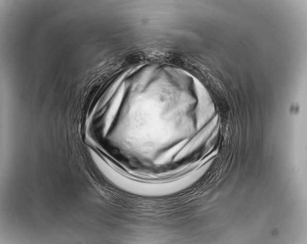 X0000099310703200805161413