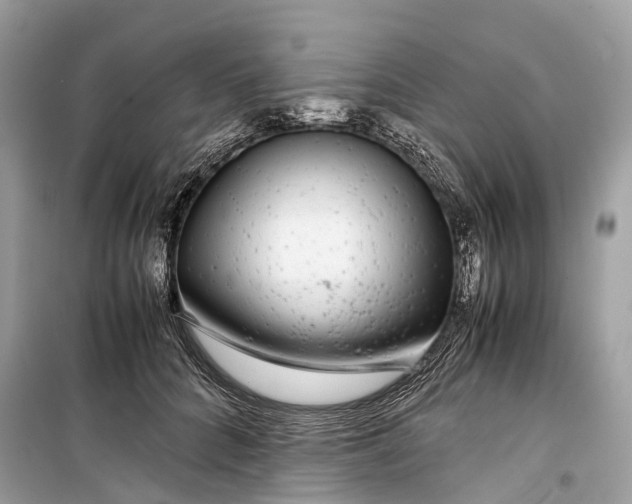 X0000099310704200805161413