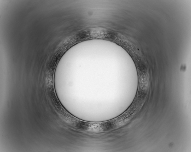 X0000099310705200805161413