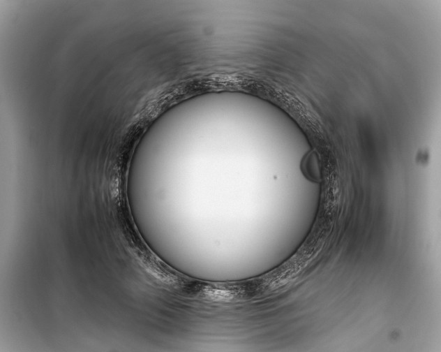 X0000099310706200805161413