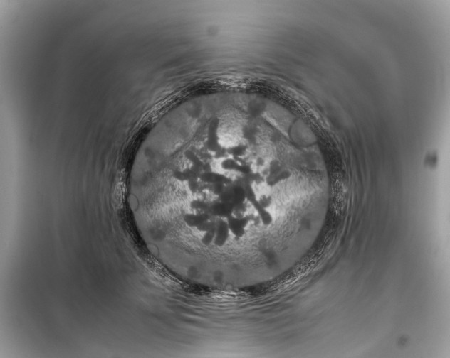 X0000099310707200805161413