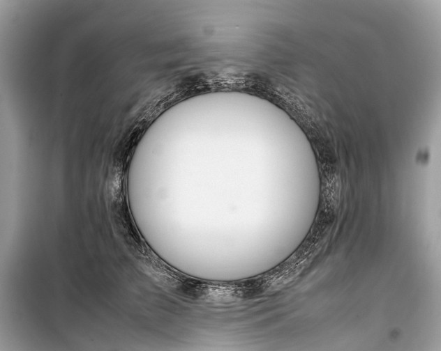 X0000099310709200805161413