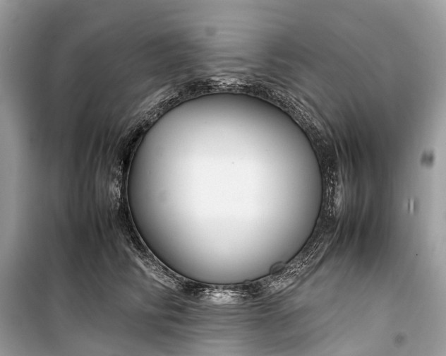 X0000099310710200805161413