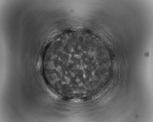 X0000099310711200805161413