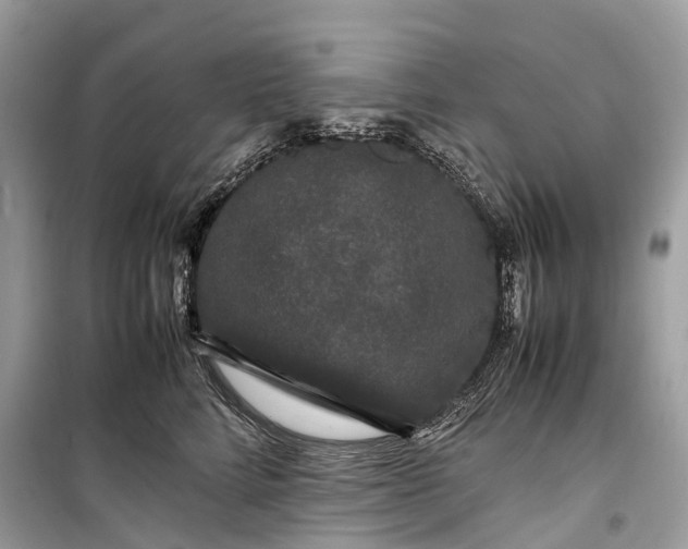 X0000099310712200805161413