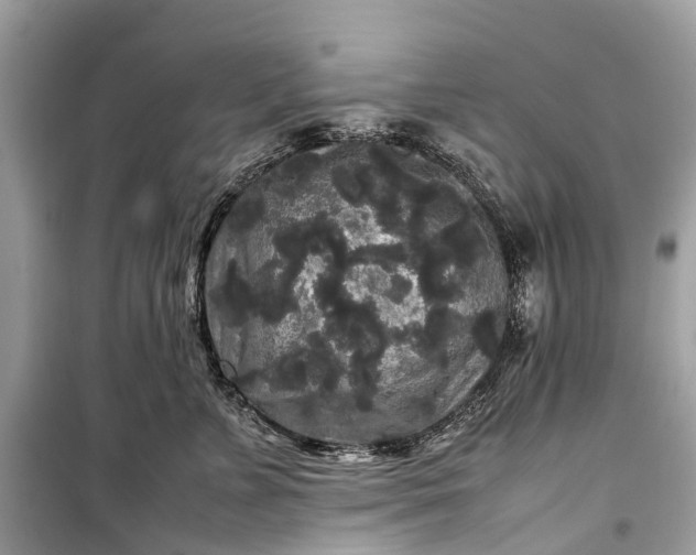 X0000099310715200805161413