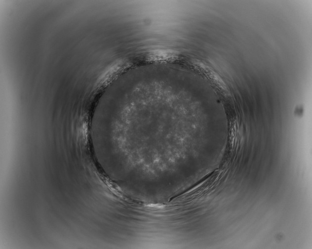 X0000099310716200805161413