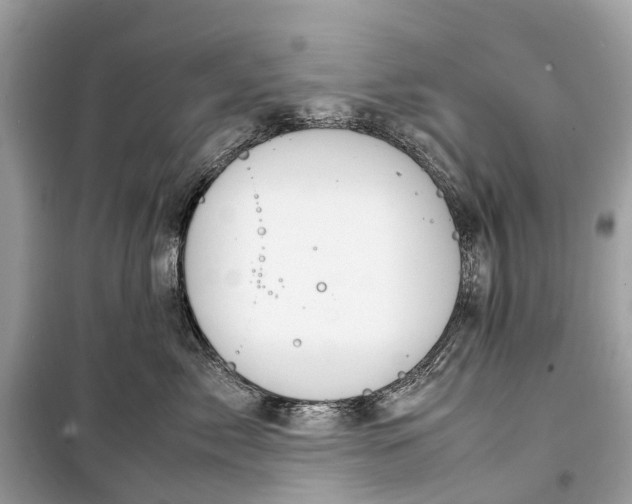 X0000099310717200805161413