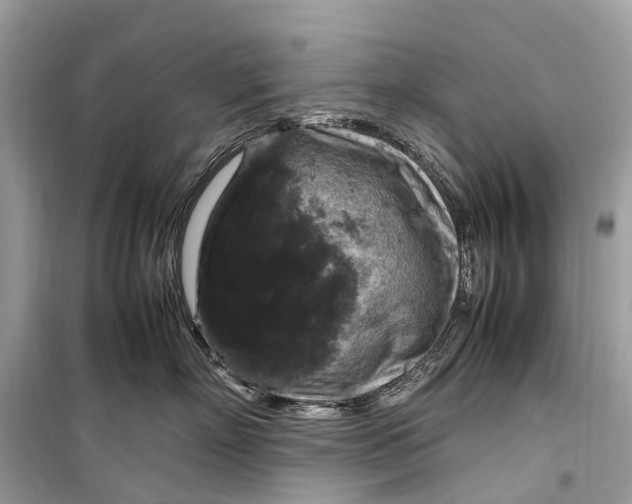 X0000099310718200805161413