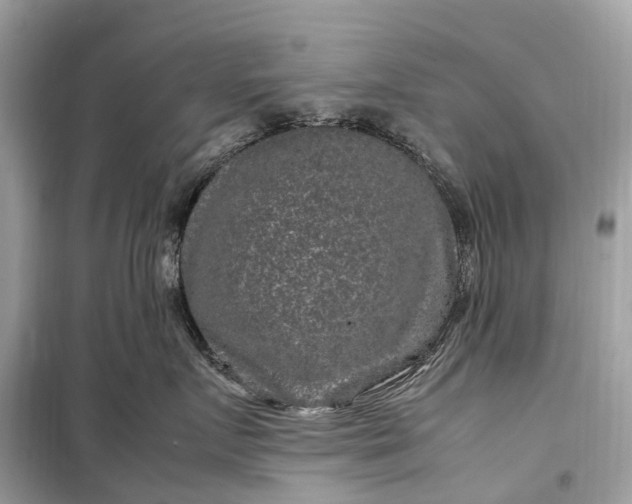 X0000099310719200805161413