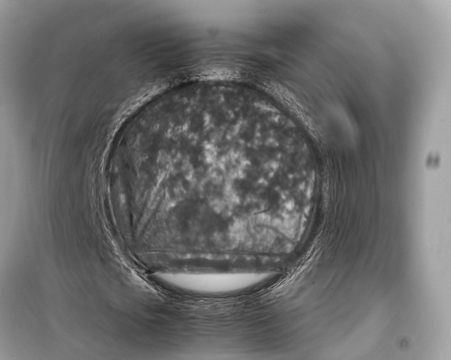 X0000099310721200805161412