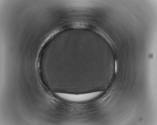 X0000099310723200805161412