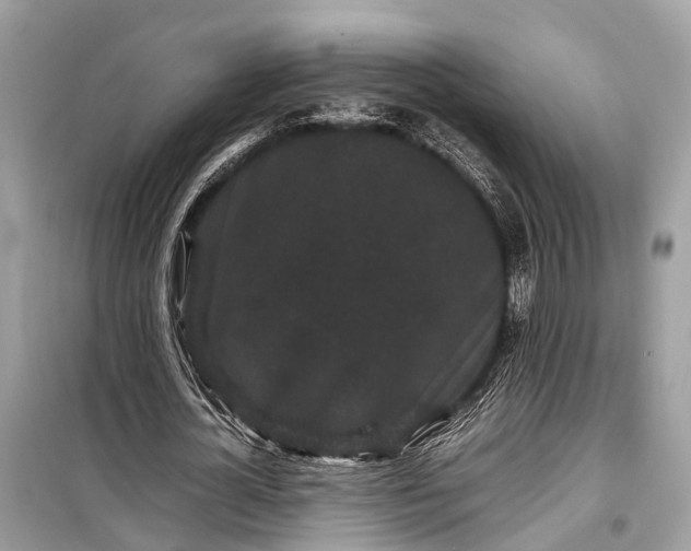 X0000099310724200805161412