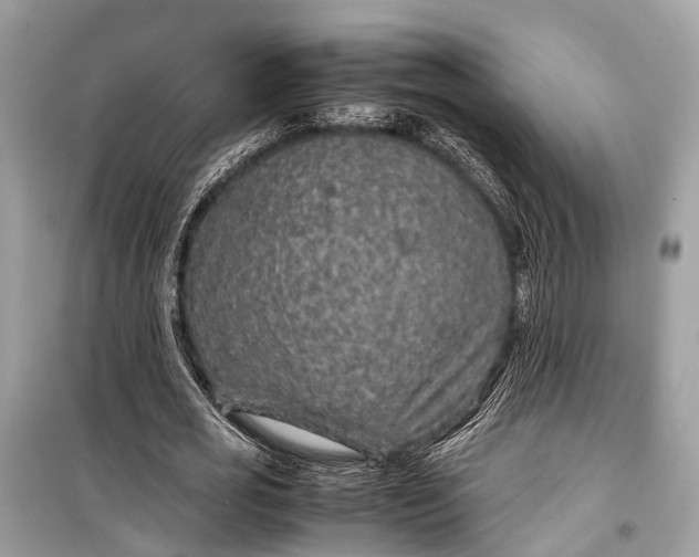 X0000099310725200805161412