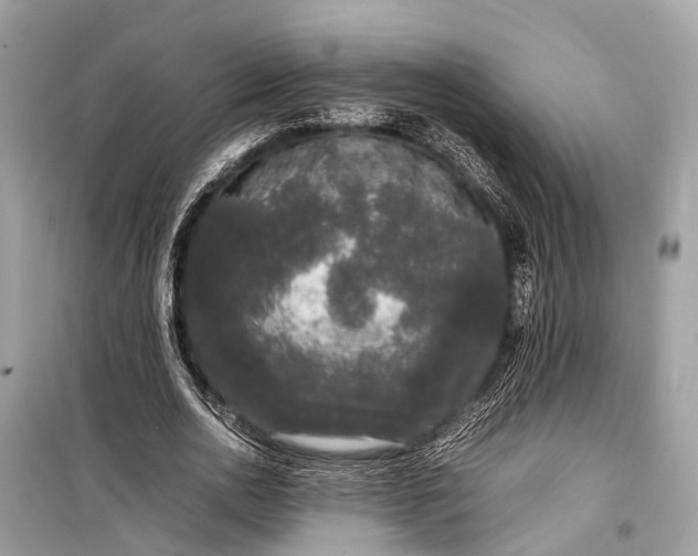 X0000099310726200805161412