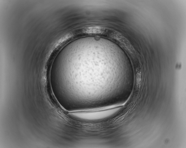 X0000099310727200805161412