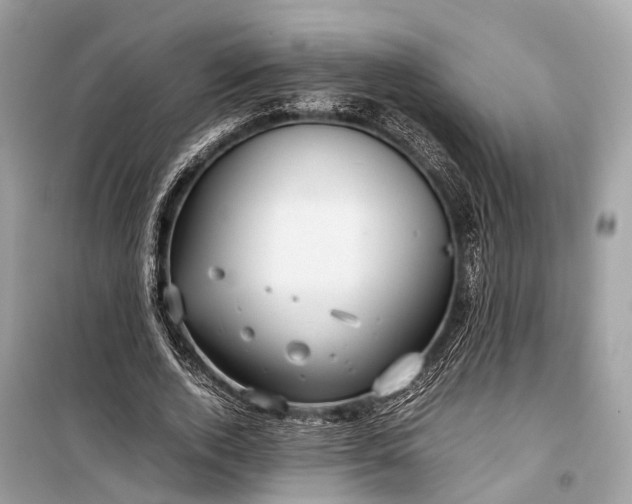 X0000099310728200805161412