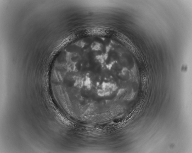 X0000099310729200805161412