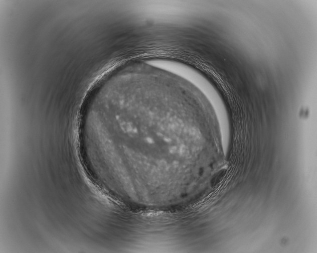 X0000099310730200805161412