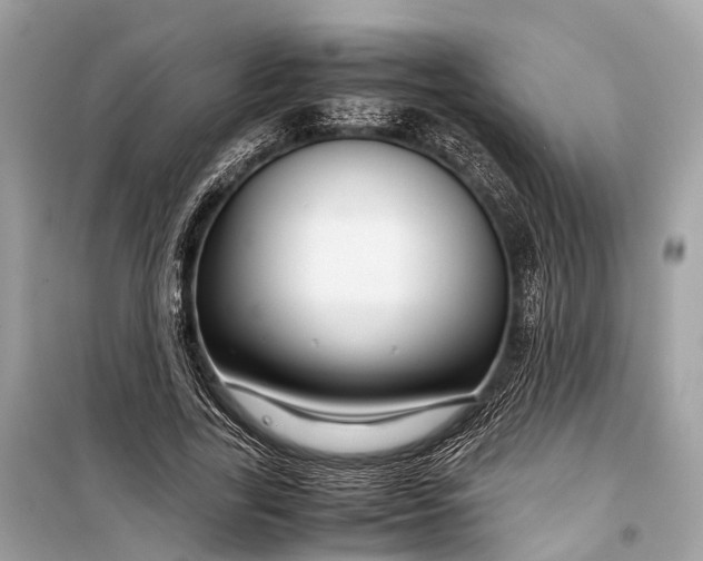 X0000099310731200805161412