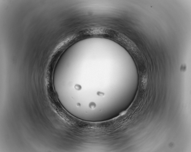 X0000099310732200805161412