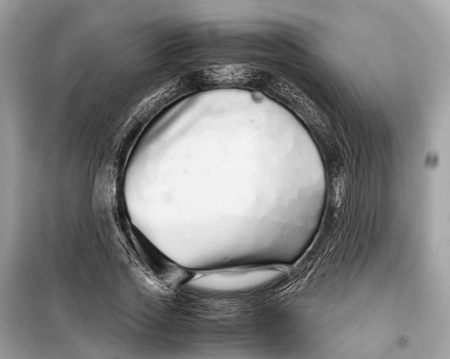 X0000099310733200805161412